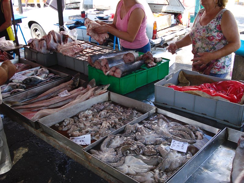 28 Fische gibt es jede Menge.jpg